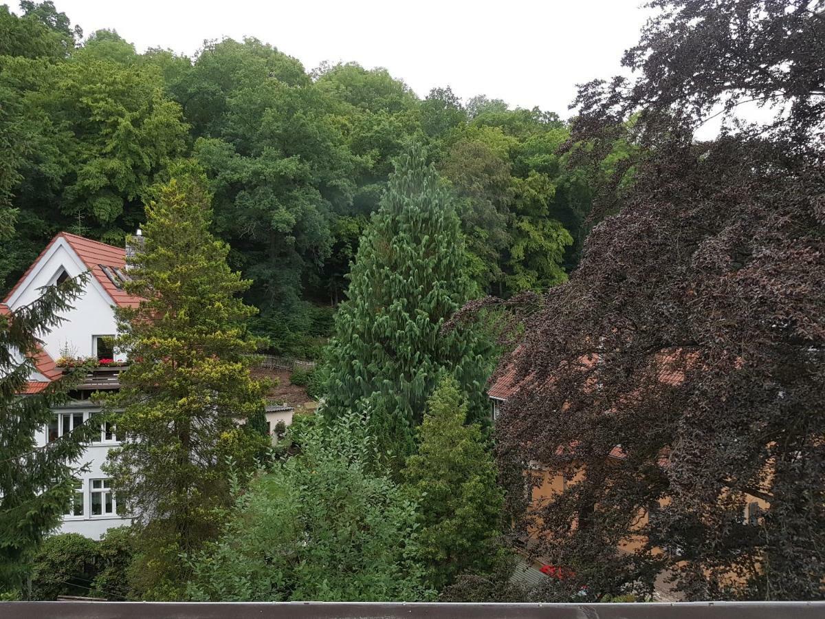 Hotel - Restaurant Sophienaue Eisenach Luaran gambar