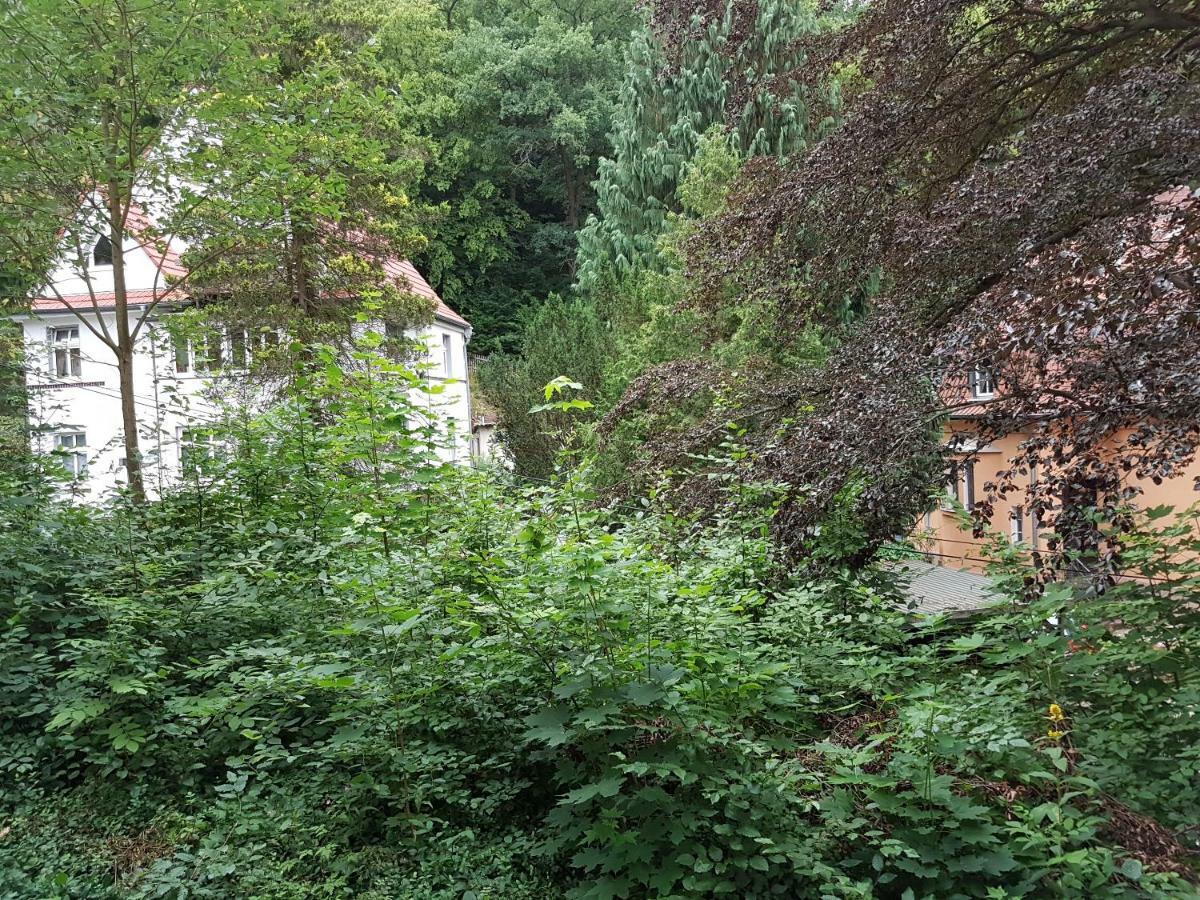 Hotel - Restaurant Sophienaue Eisenach Luaran gambar